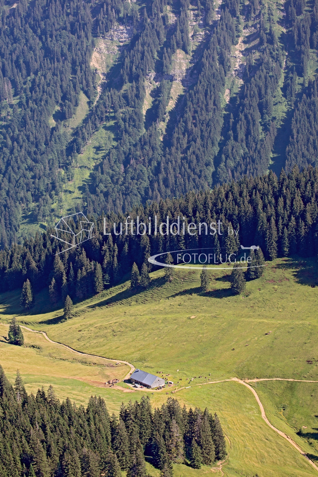 2015_07_10 Luftbild Alpen Allgaeu 15k2_10824