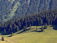 2015_07_10 Luftbild Alpen Allgaeu 15k2_10824
