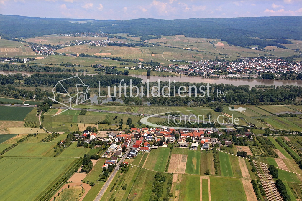 2013_06_07 Luftbild Ingelheim-Sporkenheim 13_16733