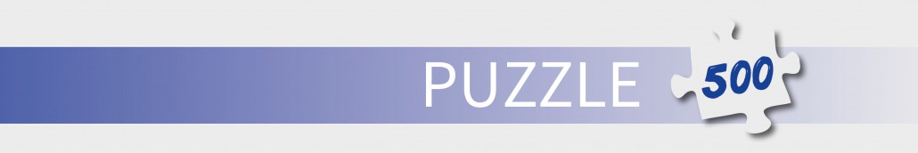 Kategoriebild Puzzle Homepage