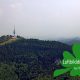 2017_06_21 Luftbild Schwarzwald Hochblauen 17k3_5057